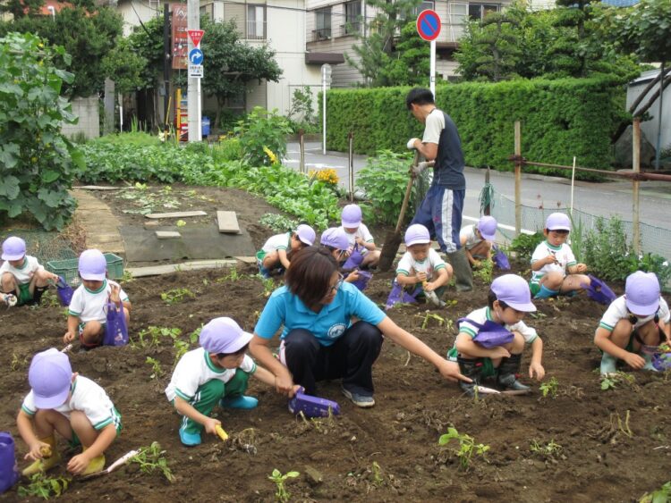 2018.6.12  じゃがいも掘り
（年長組）