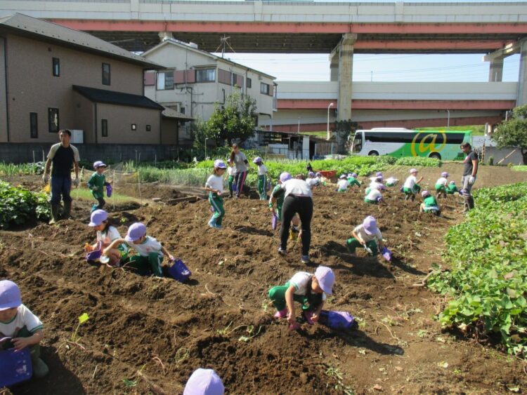 2018.10.22  
サツマイモ掘り
(年長組)