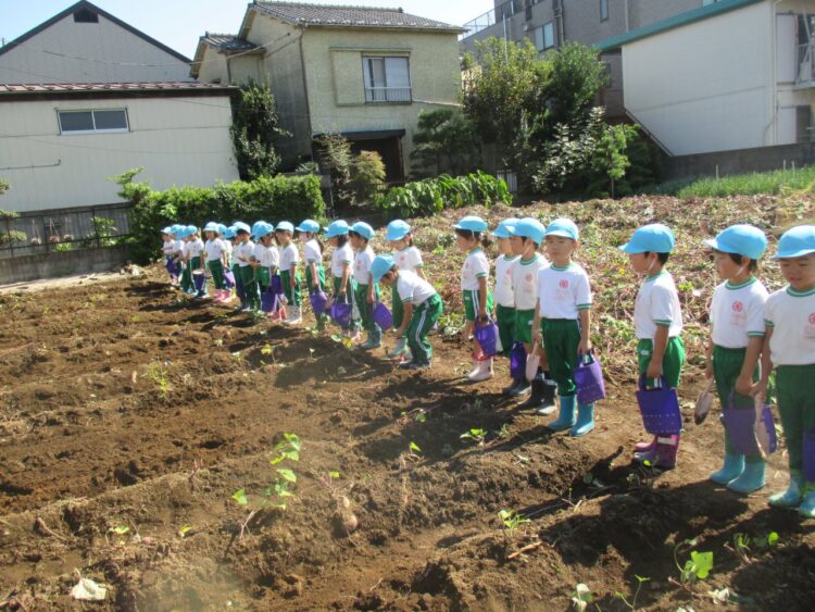 2018.10.25    
サツマイモ掘り
(年中組)