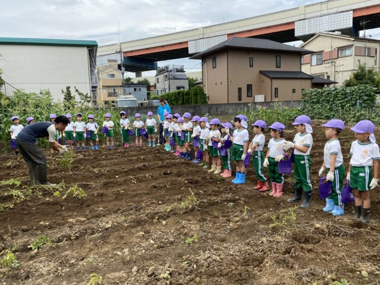 2020.6.30じゃが芋掘り
（年長組）