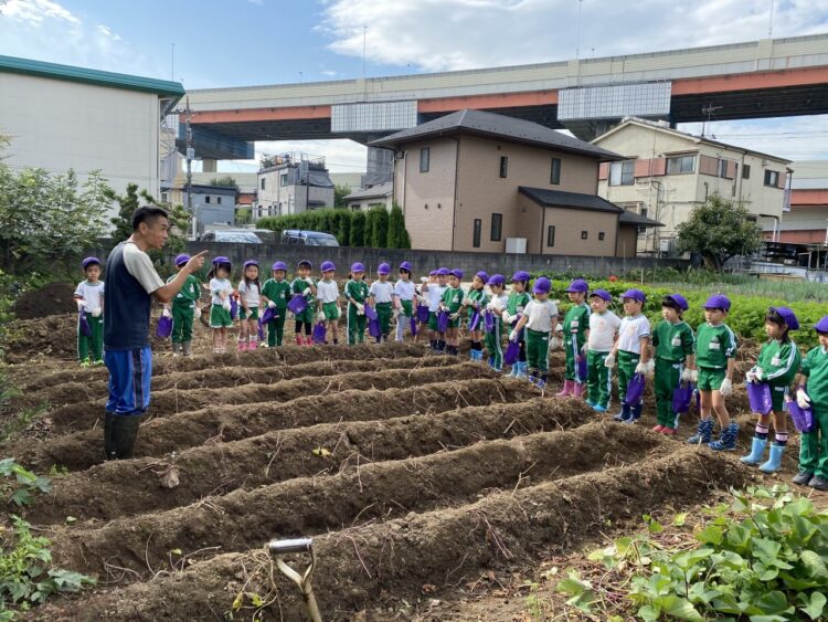 2020.11.2
さつまいも堀り（年長組）