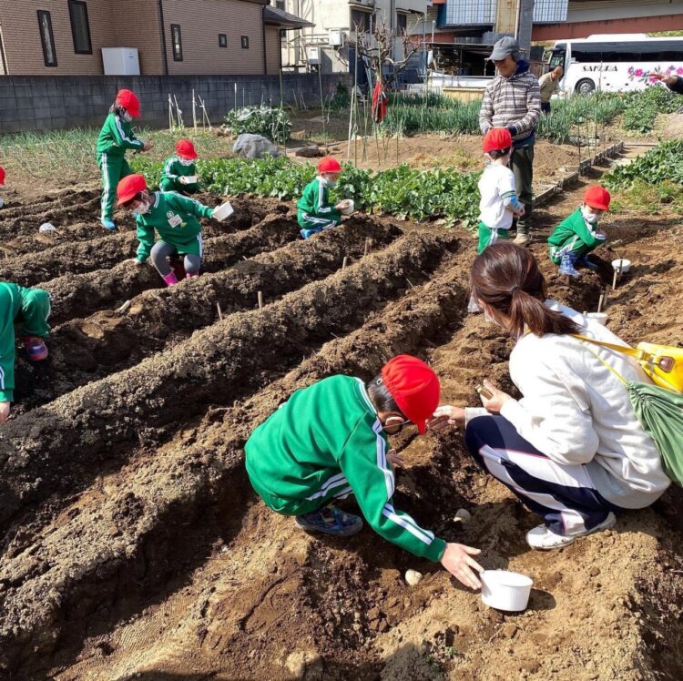 2021.2.25　
じゃがいも種芋植え
（年中組）