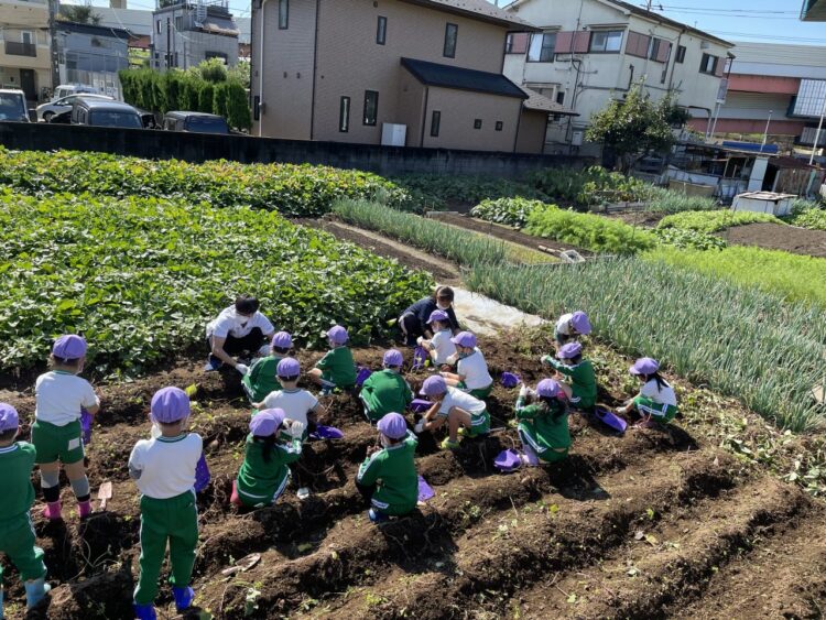 2021.10.18
さつまいも堀り（年長組）